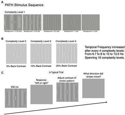 Case report: Neural timing deficits prevalent in developmental disorders, aging, and concussions remediated rapidly by movement discrimination exercises